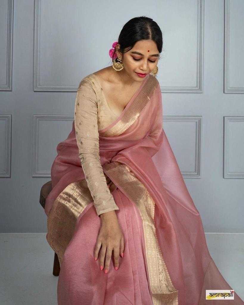 Soft Plain Nylon Organza Saree