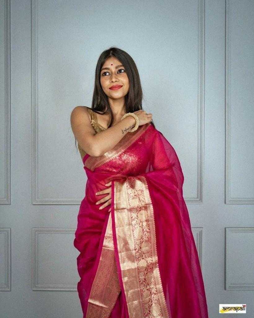 Soft Plain Nylon Organza Saree