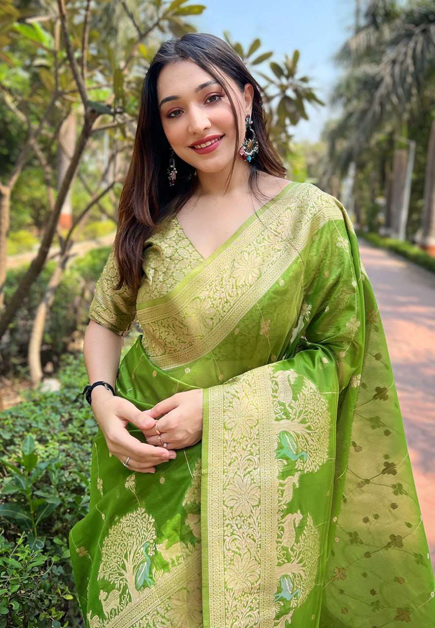 Traditional Organza Saree with Small Floral Weaves